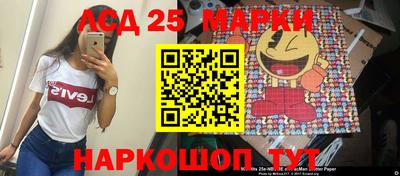 индика Тула