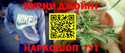 индика Тула